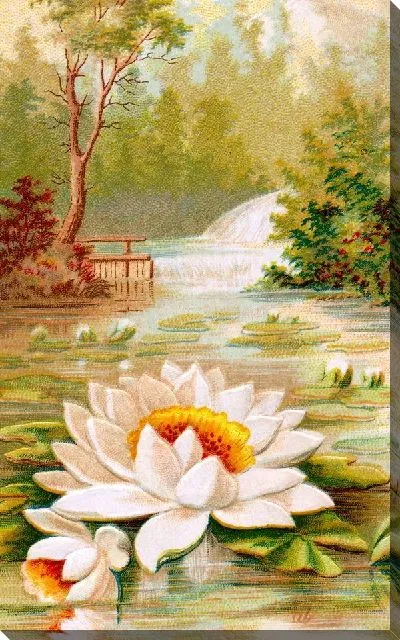 Картина маслом Лотос в пруду (Lotus in the pond)