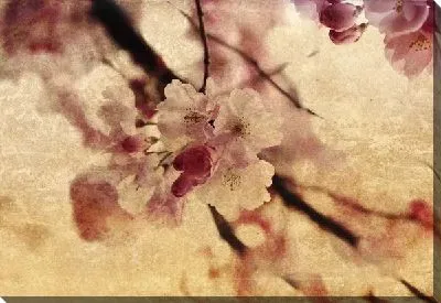 Постер Цветы весной (Flowers in spring)
