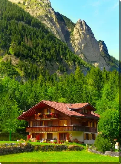 картина