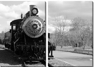 Модульная картина Поезд (Train) №15