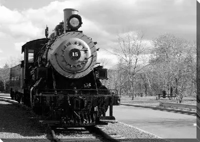 Постер Поезд (Train) №15