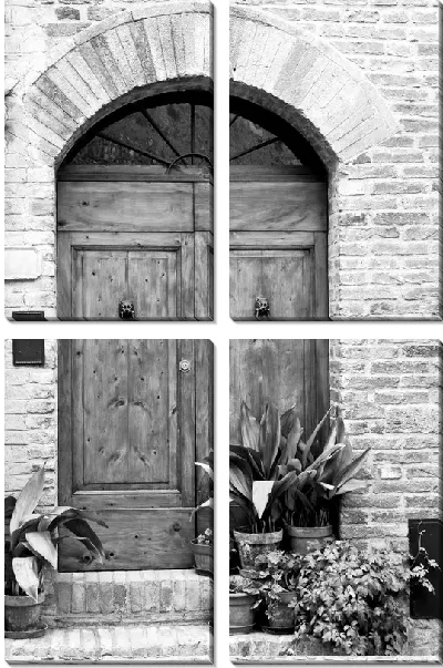 Модульная картина Цветы в горшках возле дверей (Potted plants near the door)