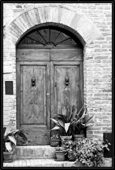 Картина Цветы в горшках возле дверей (Potted plants near the door)