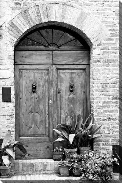 Постер Цветы в горшках возле дверей (Potted plants near the door)