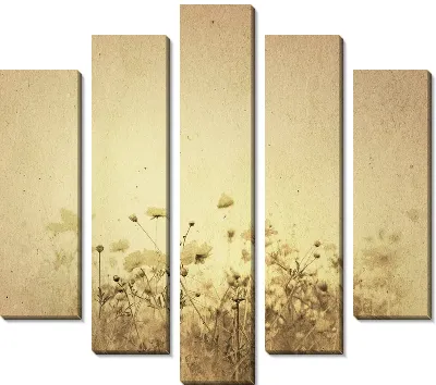 Ромашки (Daisie) №2