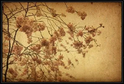 Цветы на дереве (Flowers on the tree)