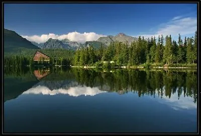 Картина Лес на берегу озера (Woods by the lake) №2