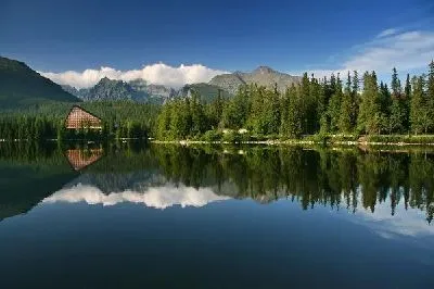 Плакат Лес на берегу озера (Woods by the lake) №2