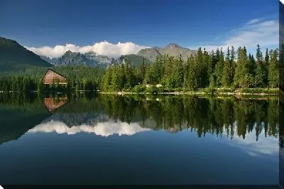 Постер Лес на берегу озера (Woods by the lake) №2