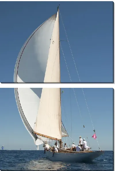 Модульная картина Парусник (Sailfish)