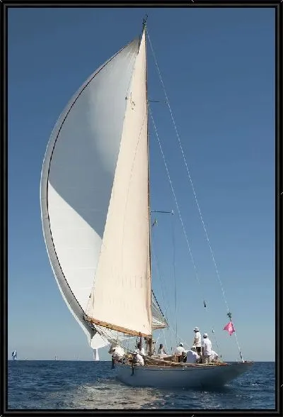 Картина Парусник (Sailfish)