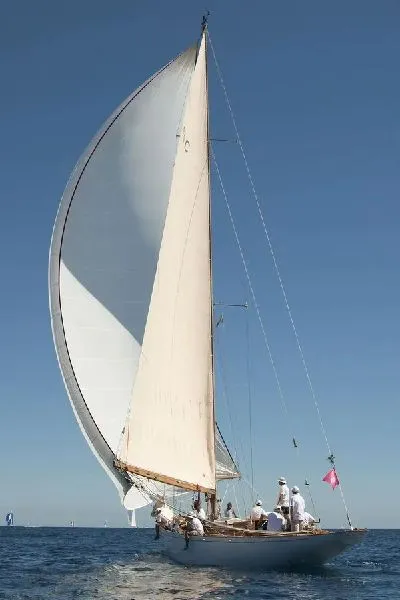 Плакат Парусник (Sailfish)