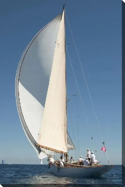 Постер Парусник (Sailfish)