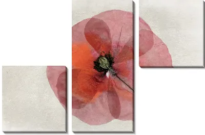 Модульная картина Цветок (Flower) №30