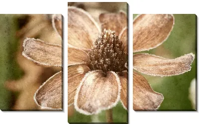 Модульная картина Цветок (Flower) №31