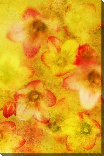 Постер Цветочный орнамент (Floral ornament)