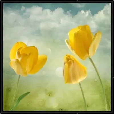 Картина Тюльпаны (Tulips) №18