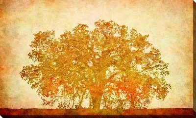 Постер Дерево (Tree) №29