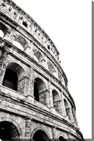 Постер Колизей (Coliseum) №5