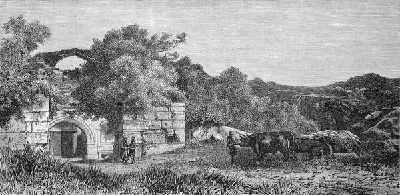 Плакат Летний пейзаж (Summer landscape)