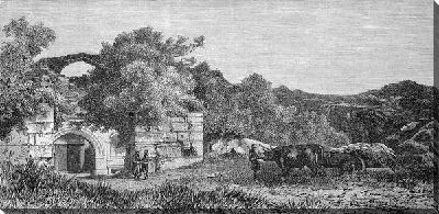Постер Летний пейзаж (Summer landscape)