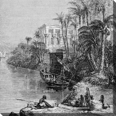 Постер На берегу реки (On the river bank)