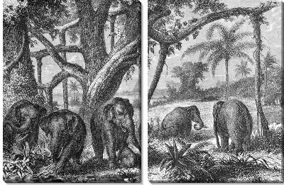 Модульная картина Слоны (Elephants) №4