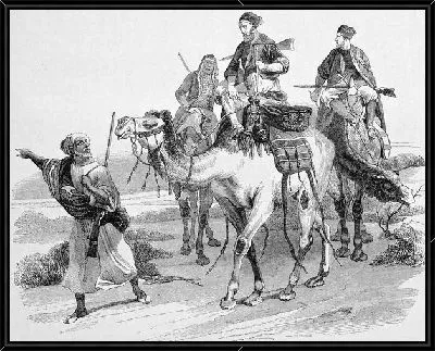 Картина Наездники на верблюдах (Riders on camels)