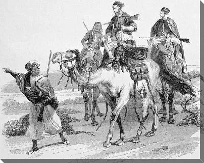 Постер Наездники на верблюдах (Riders on camels)