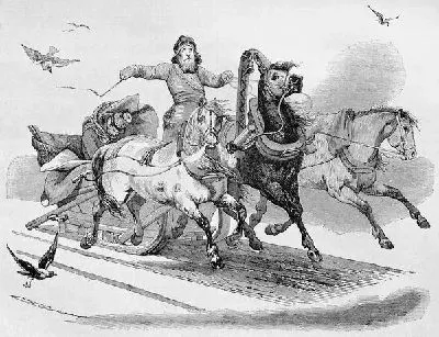 Плакат Тройка лошадей (Three horses)