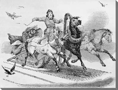 Постер Тройка лошадей (Three horses)