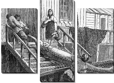 Осетр (Sturgeon)