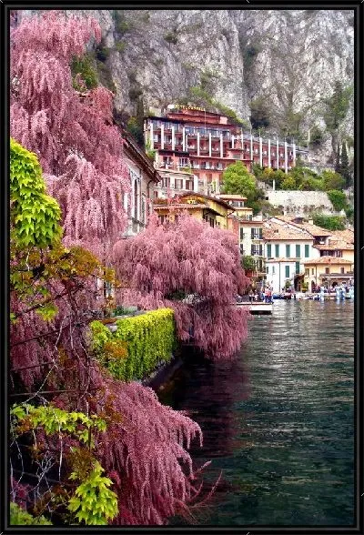 Картина Сад у озера (Garden by the lake)