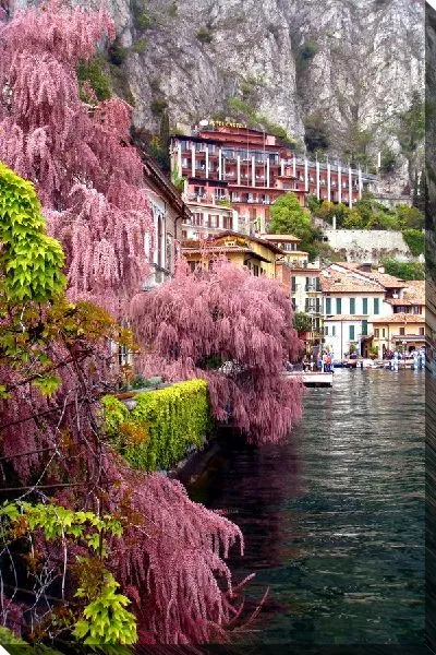 Постер Сад у озера (Garden by the lake)