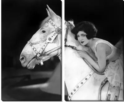 Модульная картина Девушка верхом на белой лошади (A girl riding a white horse)