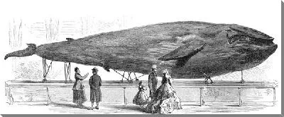 Постер Кит (Keith)