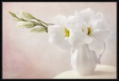 Картина Белые цветы в вазе (White flowers in the vase)