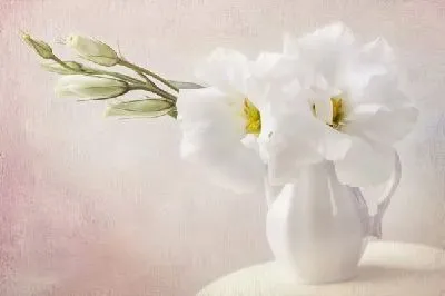 Плакат Белые цветы в вазе (White flowers in the vase)