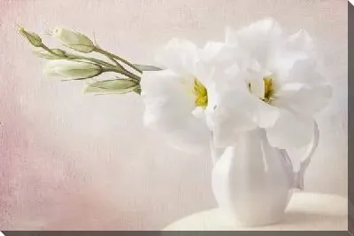 Постер Белые цветы в вазе (White flowers in the vase)