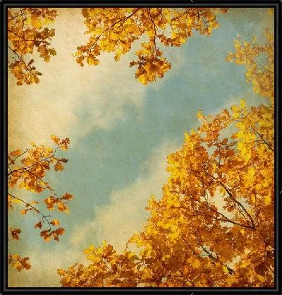 Картина Осеннее небо (Autumn sky)