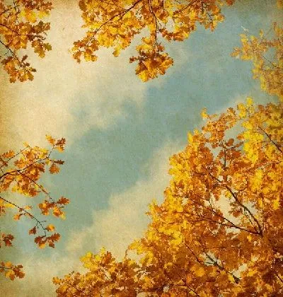 Плакат Осеннее небо (Autumn sky)
