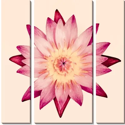 Модульная картина Цветок (Flower) №33
