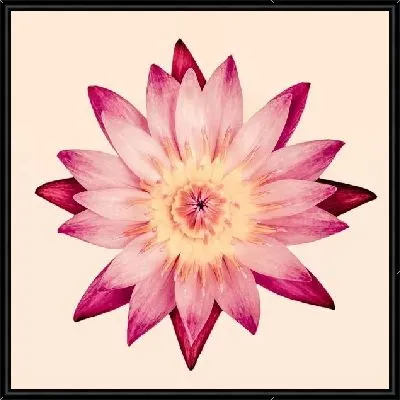 Картина Цветок (Flower) №33