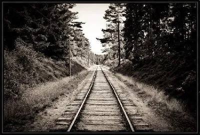 Железная дорога (Railroad) №11