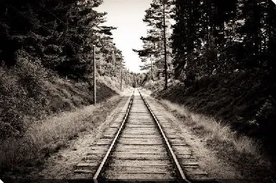 Железная дорога (Railroad) №11