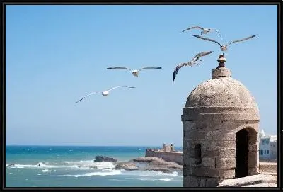 Картина Чайки у берега (Seagulls at coast)