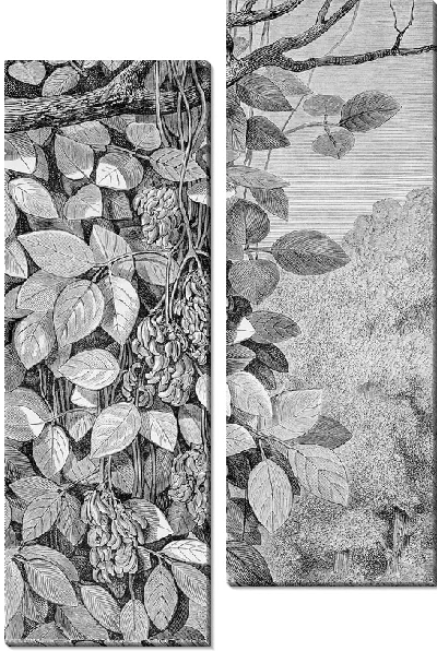 Модульная картина Дерево с фруктами (Tree with fruit)
