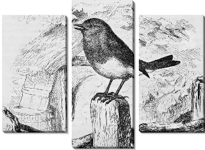 Модульная картина Птичка (Birdie)