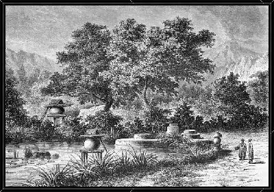 Картина Сад (Garden) №12