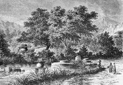 Плакат Сад (Garden) №12